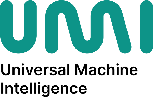 Universal Machine Intelligence